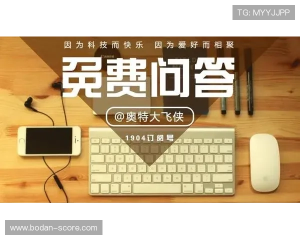 买波胆其他什么意思避坑防骗平台对比评测